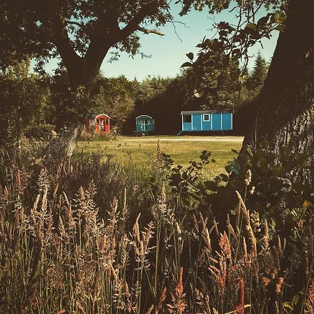 Pipowagens Bij Pannenkoekenrestaurant & Camping De Koppenjan 'Een Uniek Verblijf Met Kinderspeelboerderij' Jubbega-Schurega المظهر الخارجي الصورة
