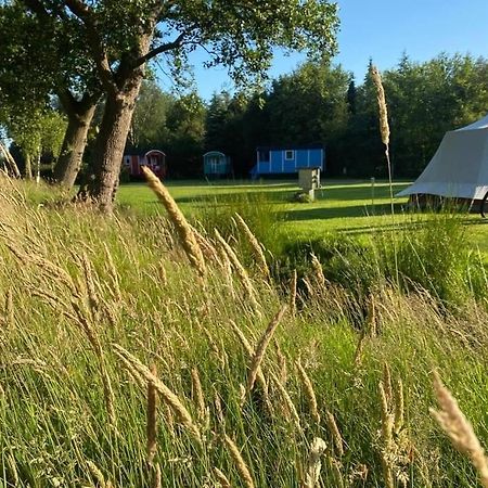 Pipowagens Bij Pannenkoekenrestaurant & Camping De Koppenjan 'Een Uniek Verblijf Met Kinderspeelboerderij' Jubbega-Schurega المظهر الخارجي الصورة