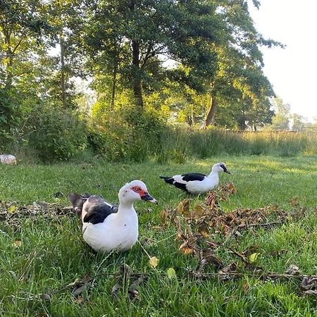 Pipowagens Bij Pannenkoekenrestaurant & Camping De Koppenjan 'Een Uniek Verblijf Met Kinderspeelboerderij' Jubbega-Schurega المظهر الخارجي الصورة