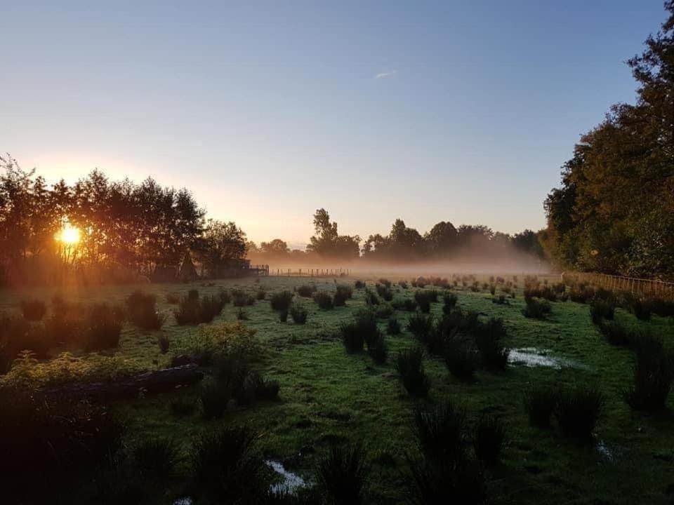 Pipowagens Bij Pannenkoekenrestaurant & Camping De Koppenjan 'Een Uniek Verblijf Met Kinderspeelboerderij' Jubbega-Schurega المظهر الخارجي الصورة
