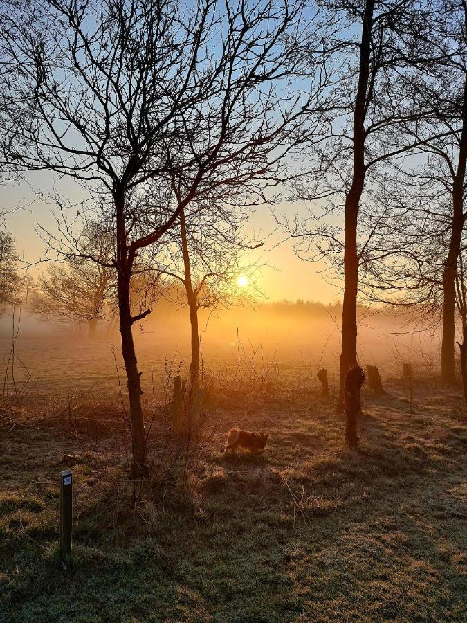 Pipowagens Bij Pannenkoekenrestaurant & Camping De Koppenjan 'Een Uniek Verblijf Met Kinderspeelboerderij' Jubbega-Schurega المظهر الخارجي الصورة