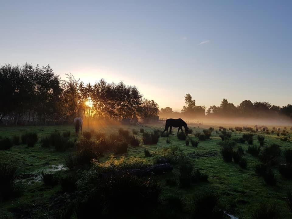 Pipowagens Bij Pannenkoekenrestaurant & Camping De Koppenjan 'Een Uniek Verblijf Met Kinderspeelboerderij' Jubbega-Schurega المظهر الخارجي الصورة