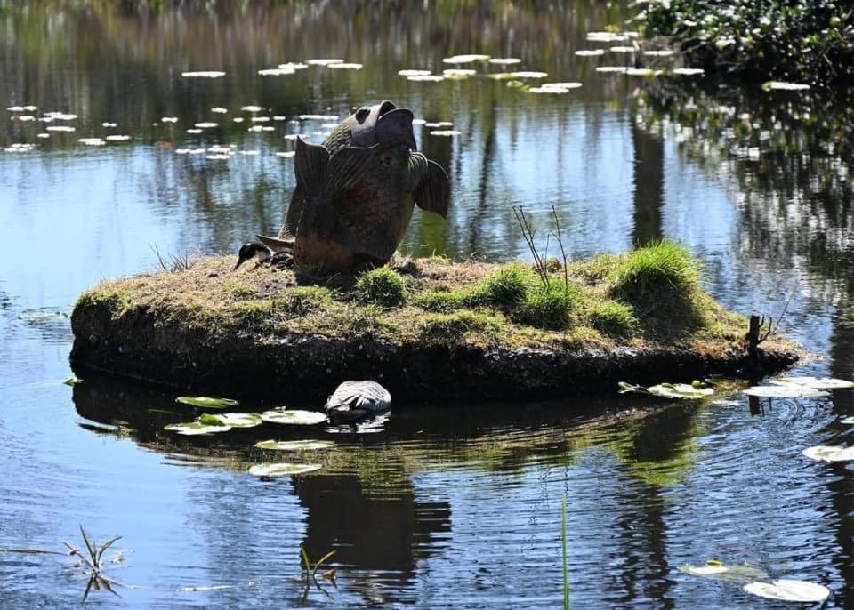 Pipowagens Bij Pannenkoekenrestaurant & Camping De Koppenjan 'Een Uniek Verblijf Met Kinderspeelboerderij' Jubbega-Schurega المظهر الخارجي الصورة