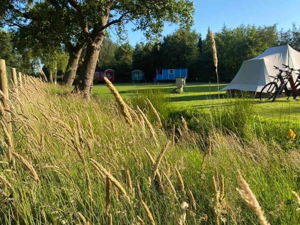 Pipowagens Bij Pannenkoekenrestaurant & Camping De Koppenjan 'Een Uniek Verblijf Met Kinderspeelboerderij' Jubbega-Schurega المظهر الخارجي الصورة